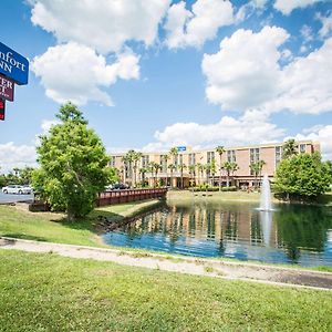 Comfort Inn & Suites Kissimmee By The Parks